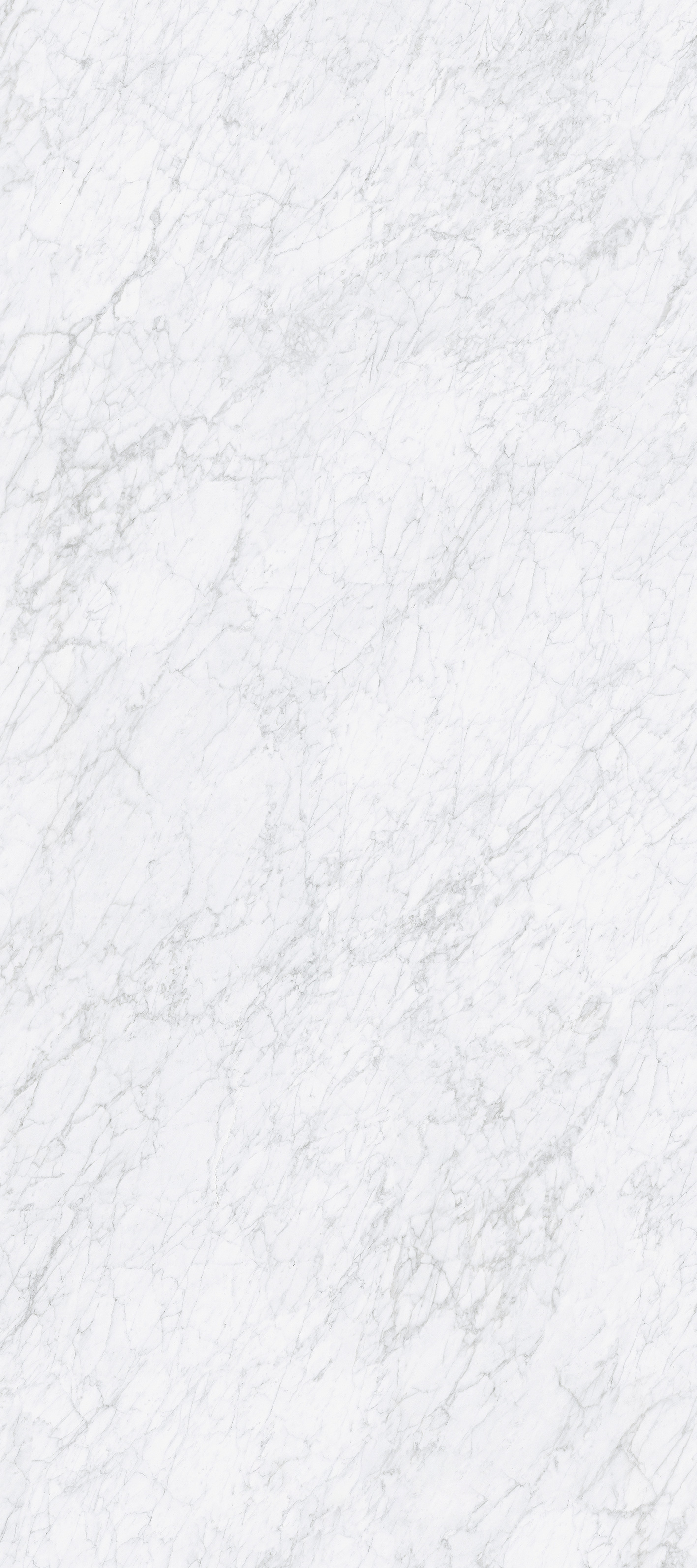 Italy White Carrara