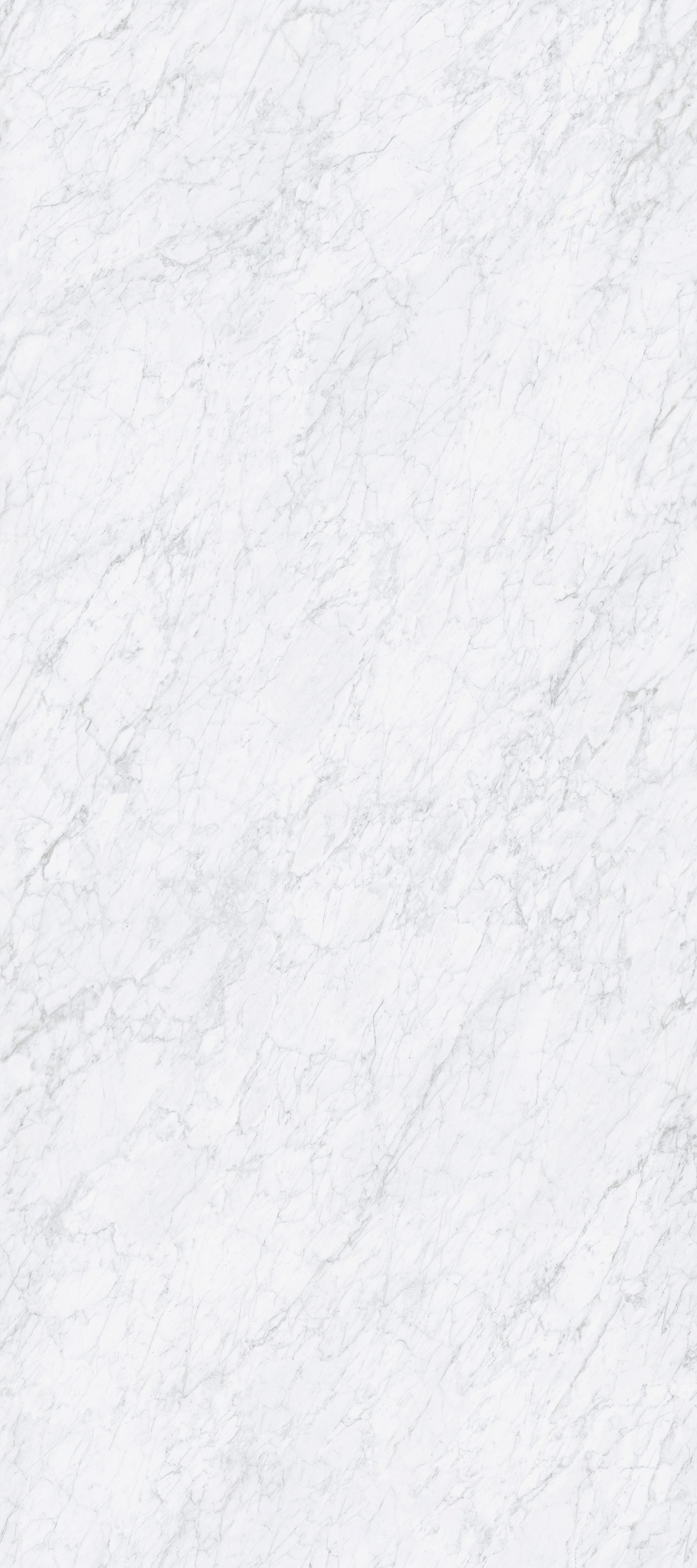 Italy White Carrara